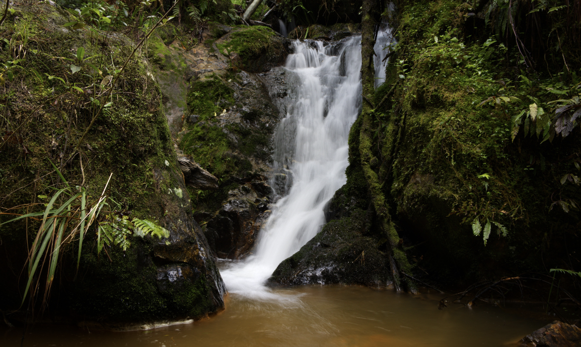Scotsman's Gully